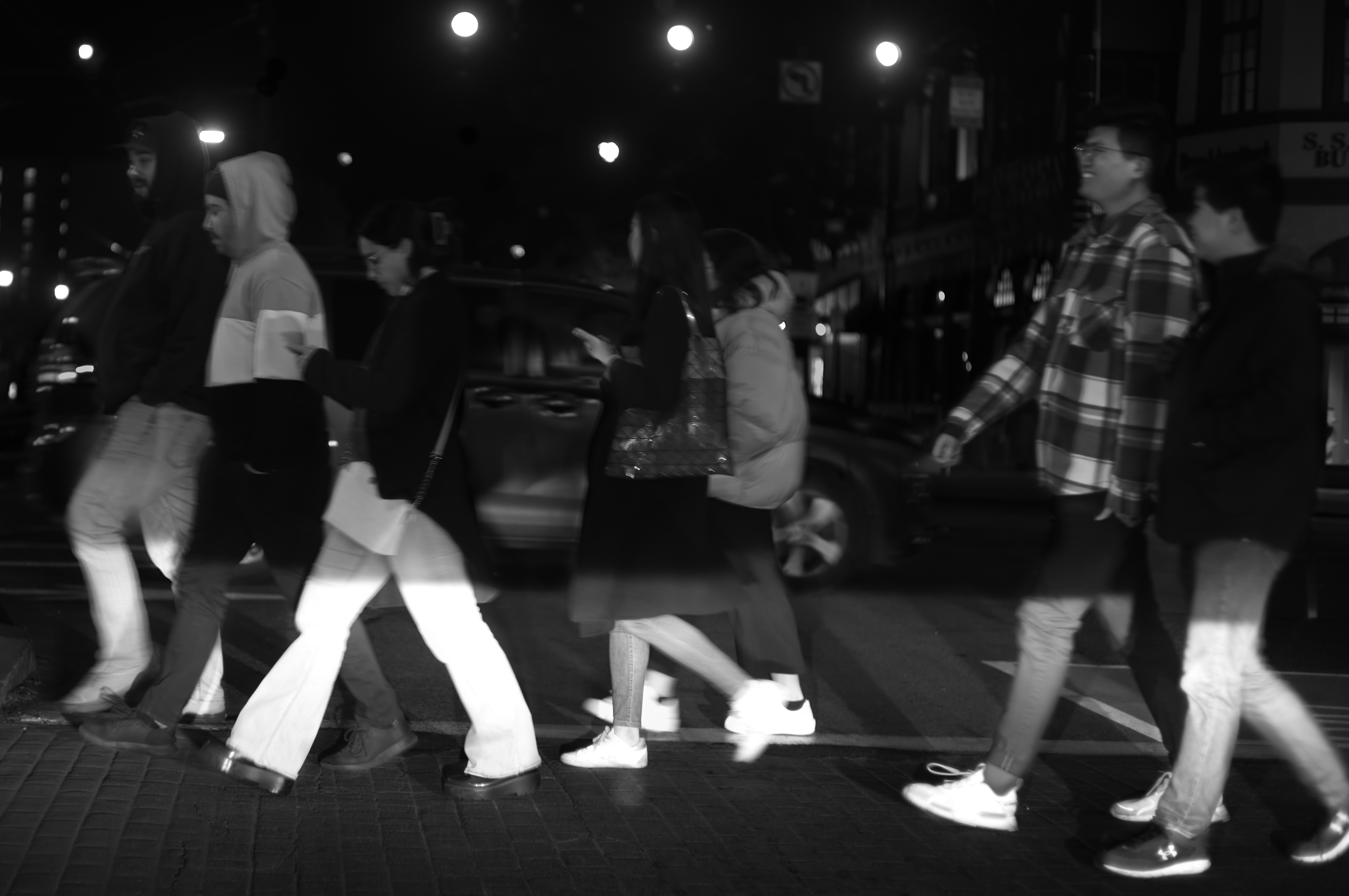 Abstract composition of geometric forms and organic shapes in monochrome.