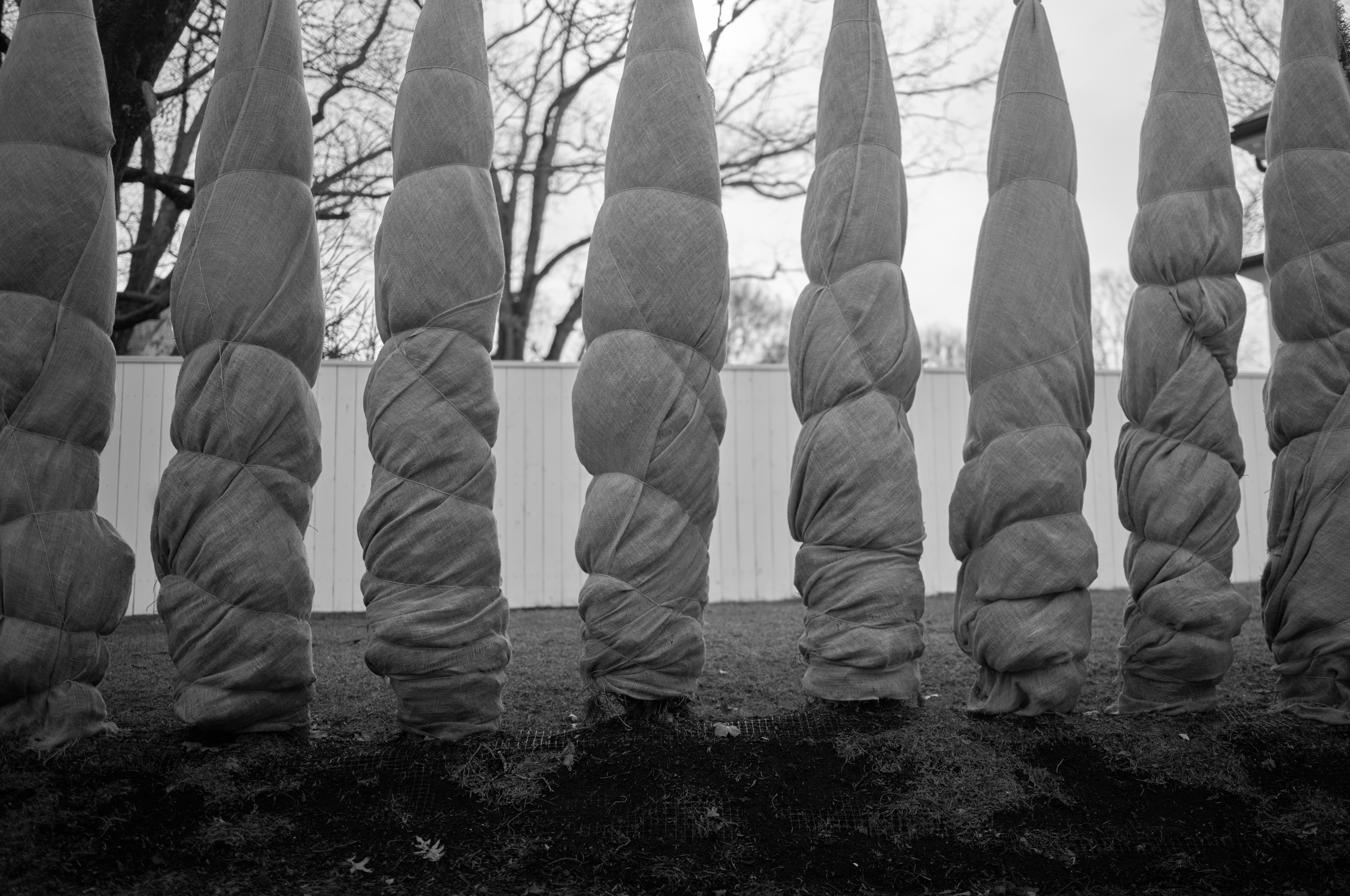 Street photography moment capturing the rhythm and movement of city life.