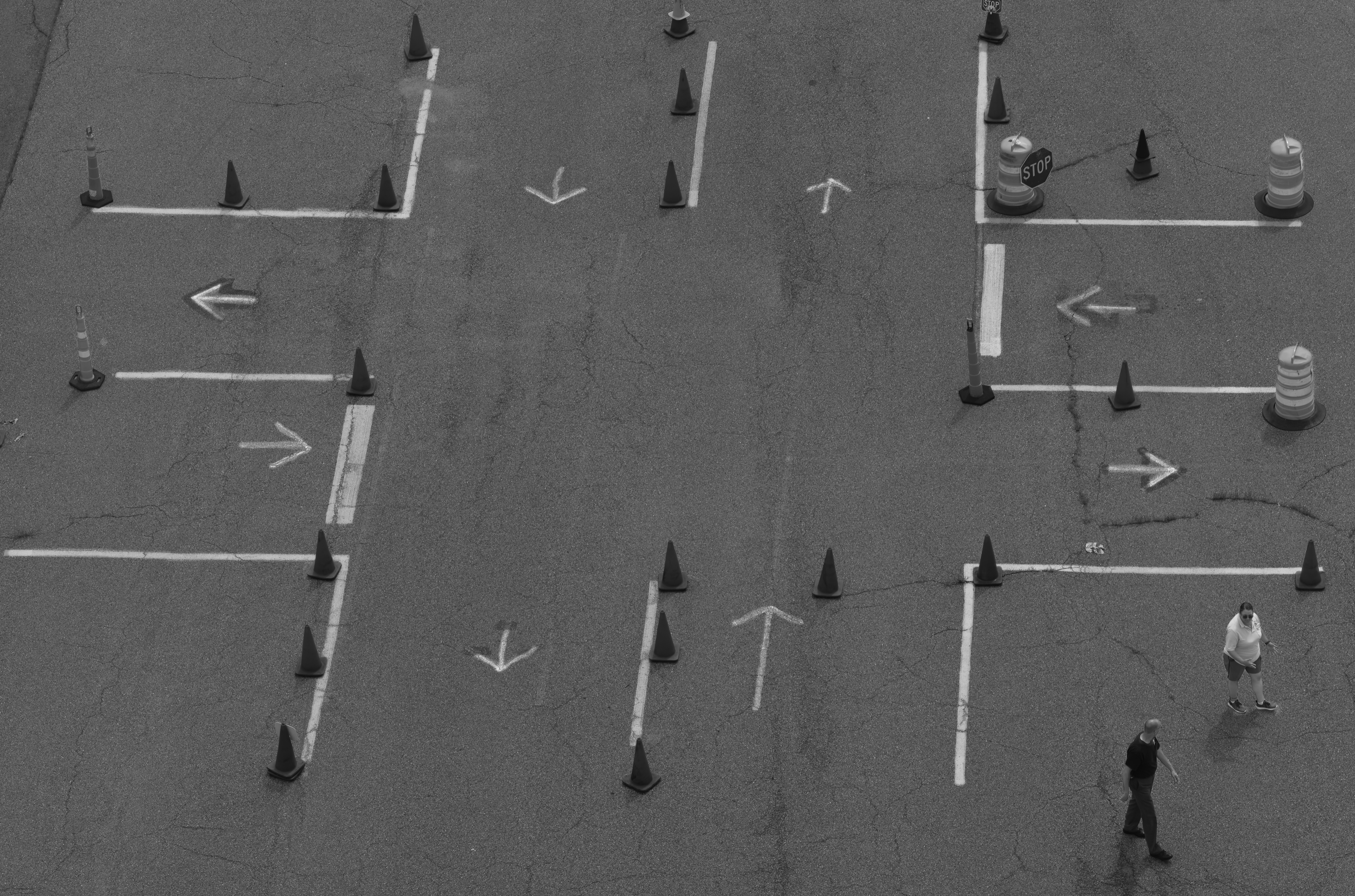 Natural landscape transformed through the lens of abstraction and metaphor.