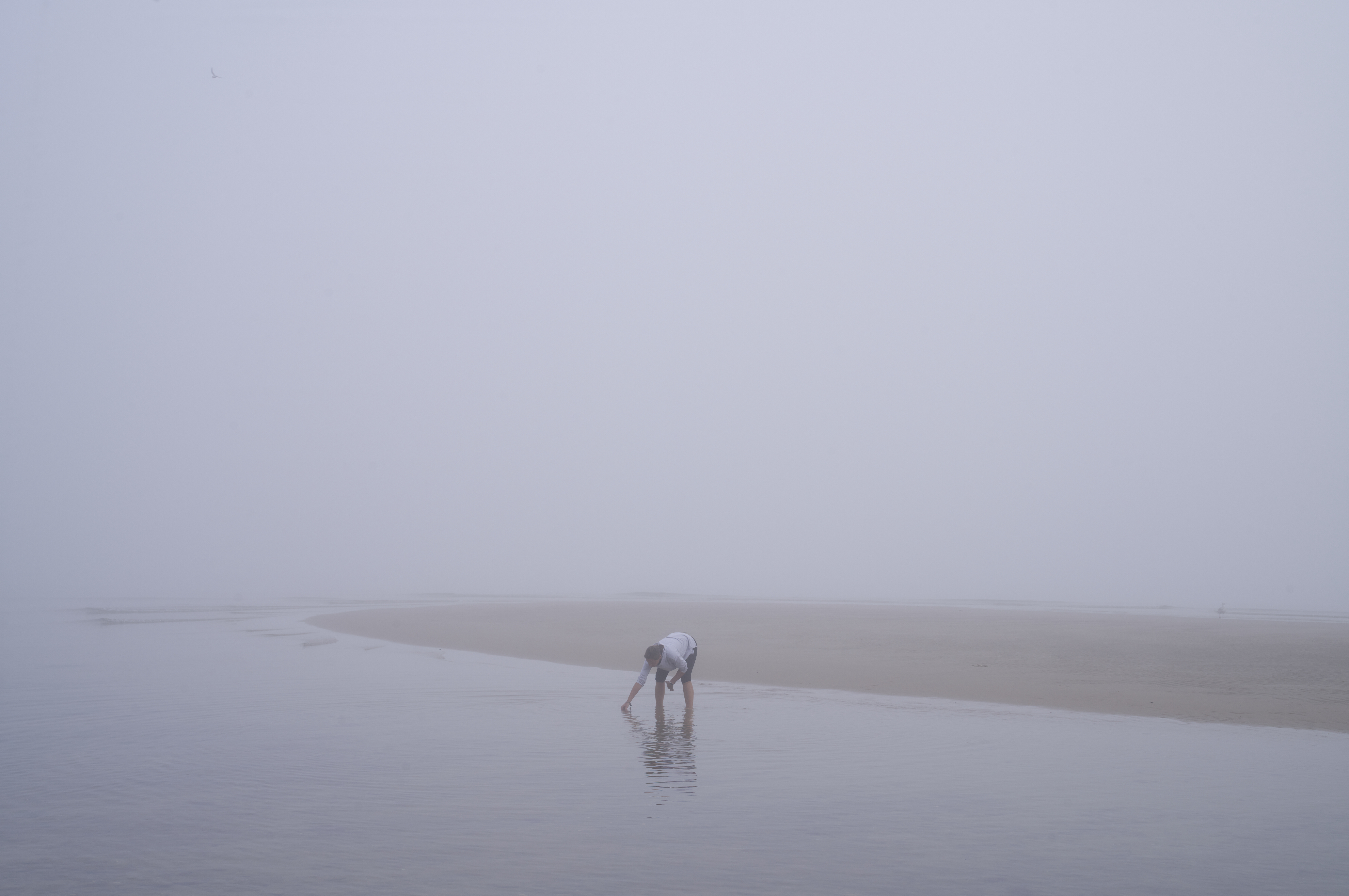 Human figure in motion, captured in a moment of grace and fluidity.