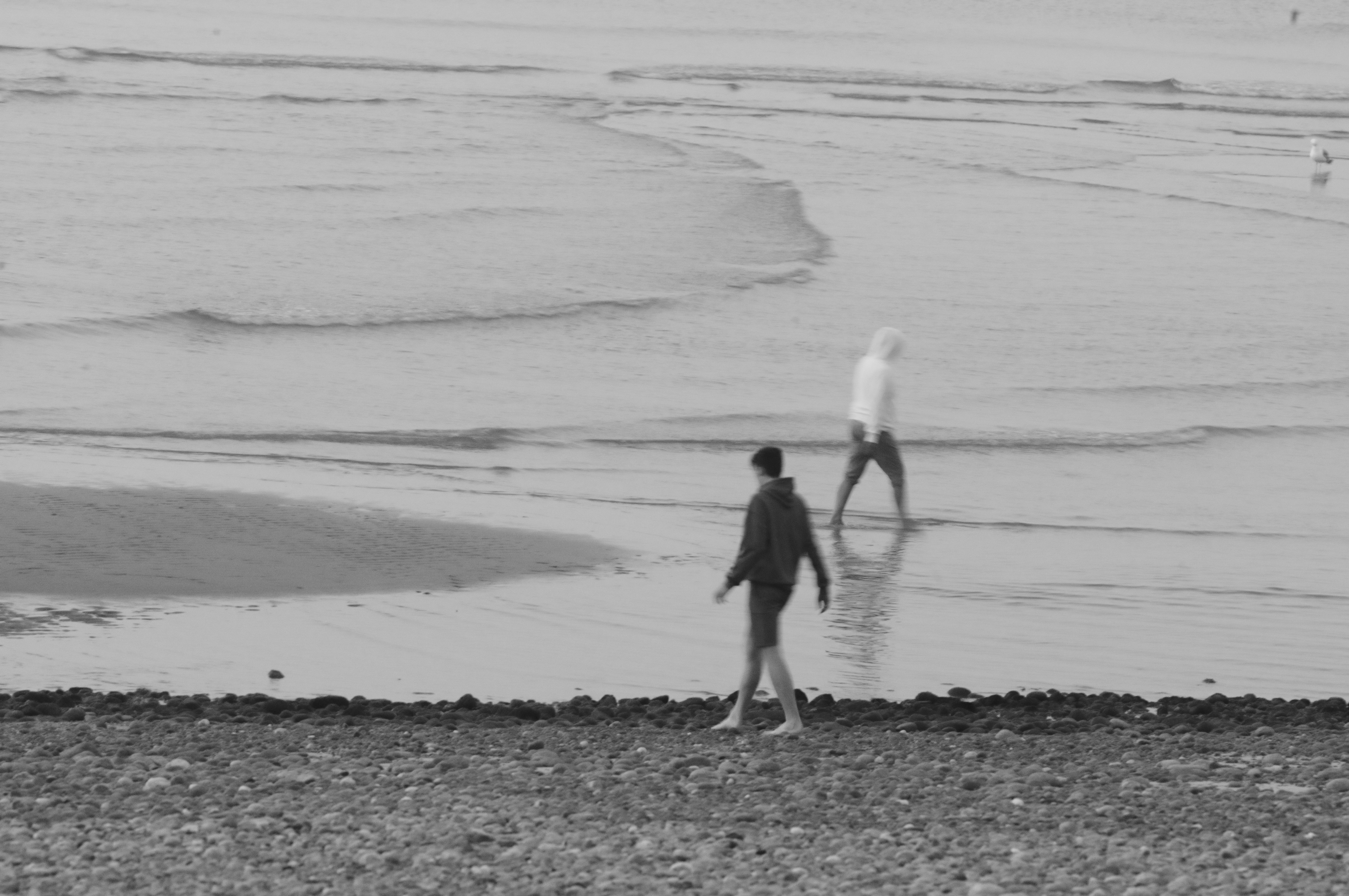 Natural element isolated and elevated to the level of abstract art.