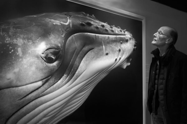 Nantucket Whaling Museum